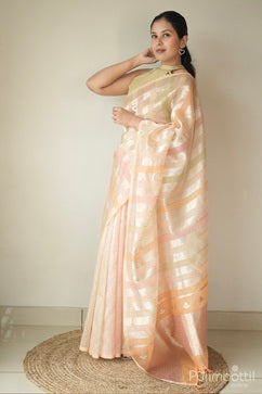 Pastel Shaded Organsa Saree.