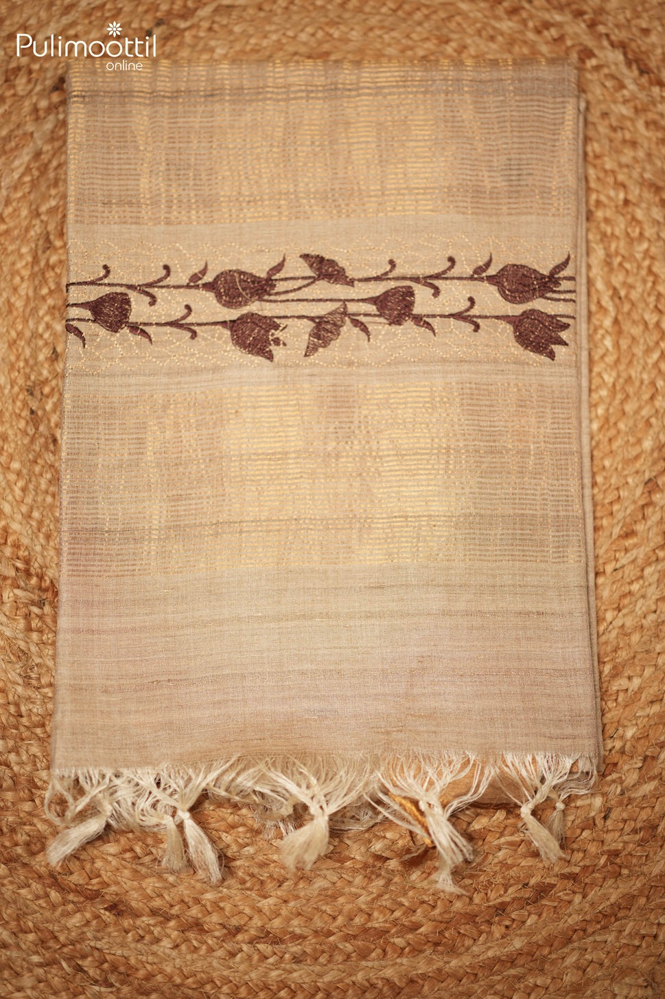 Light Chikoo Colour Tussar Silk Saree