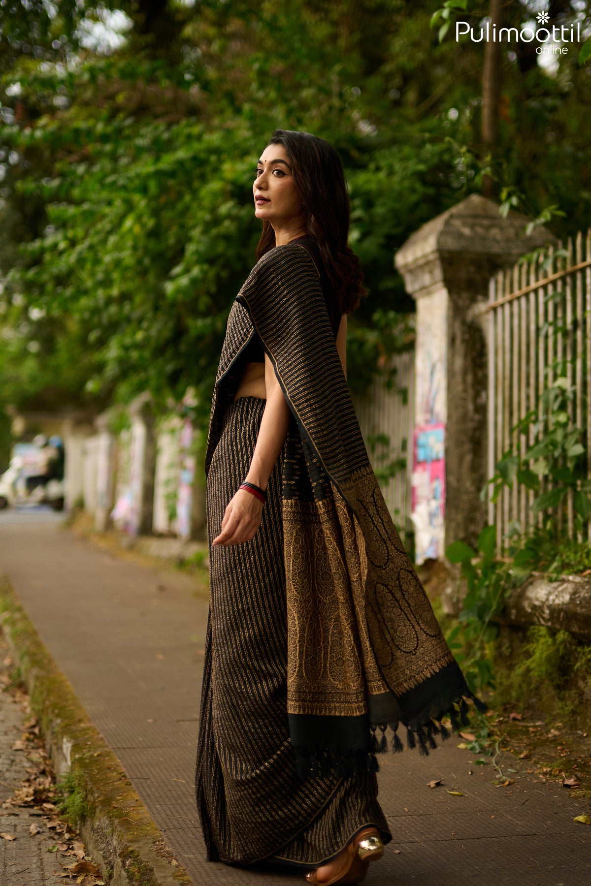Black Colour Georgette Banarasi Saree