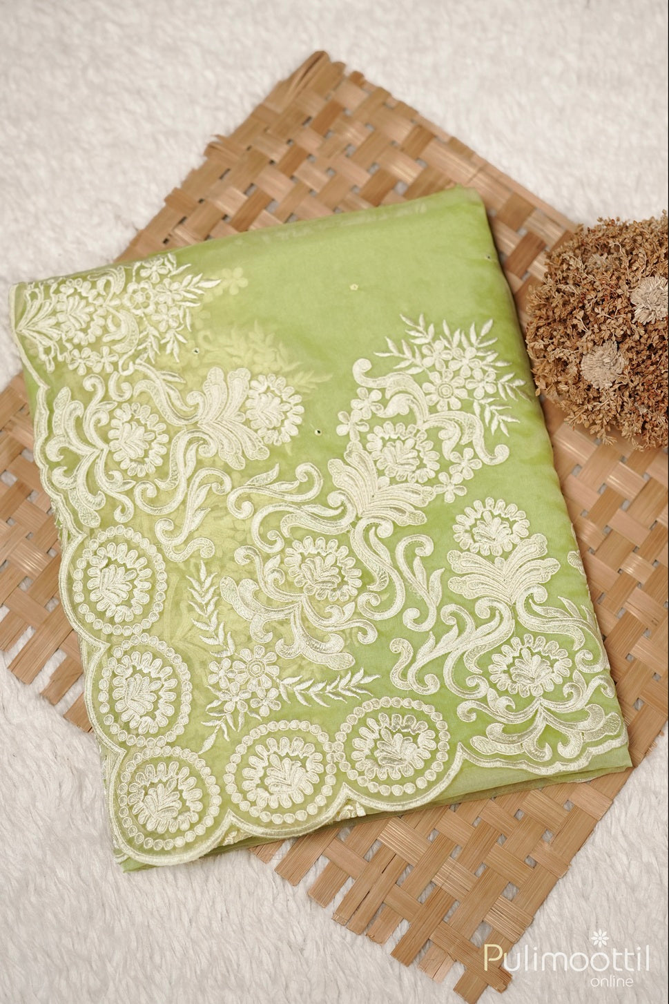 Light Green Organza Fancy Saree.