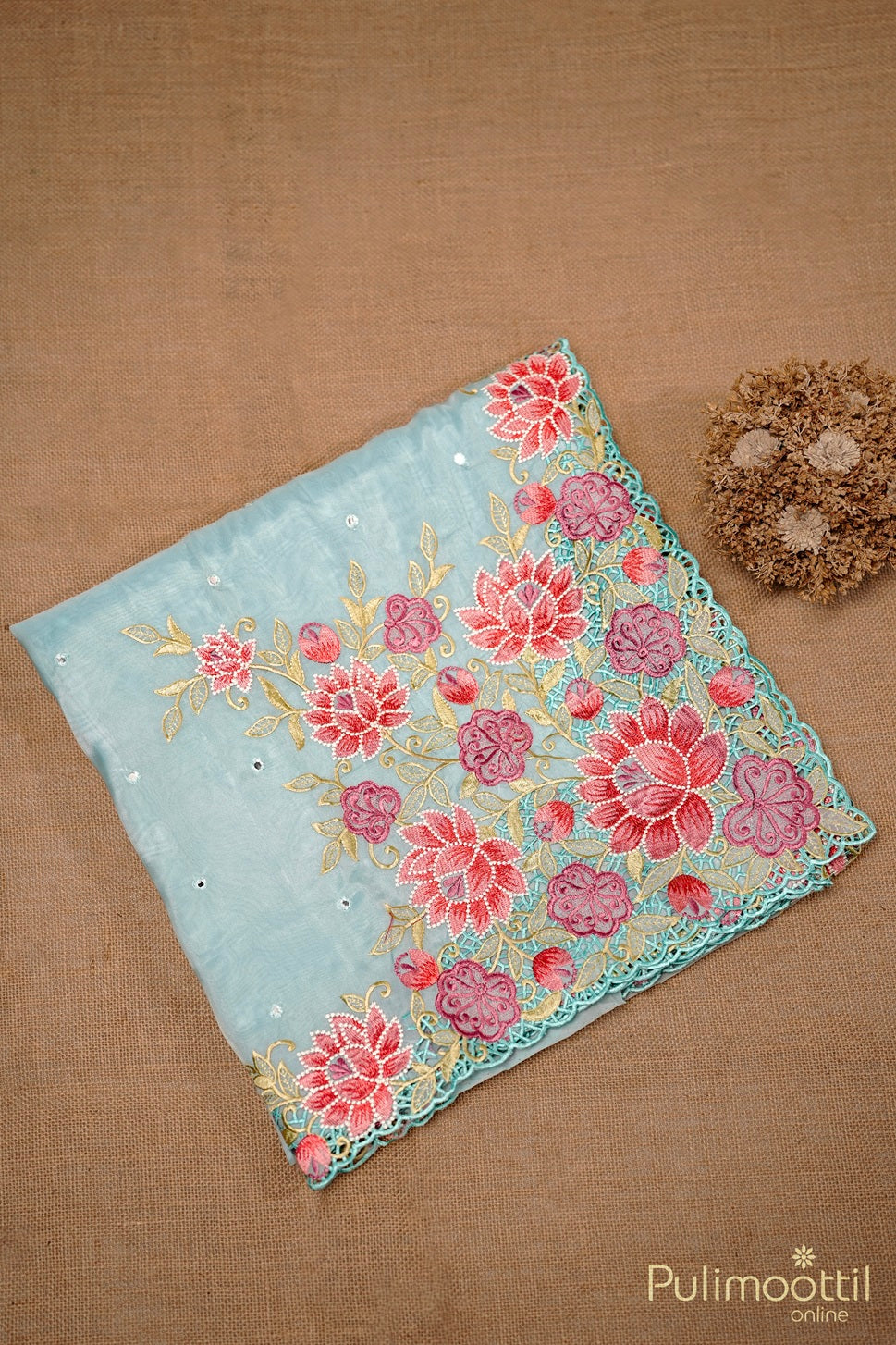 Pastel Blue  Cut Work Organza Saree.