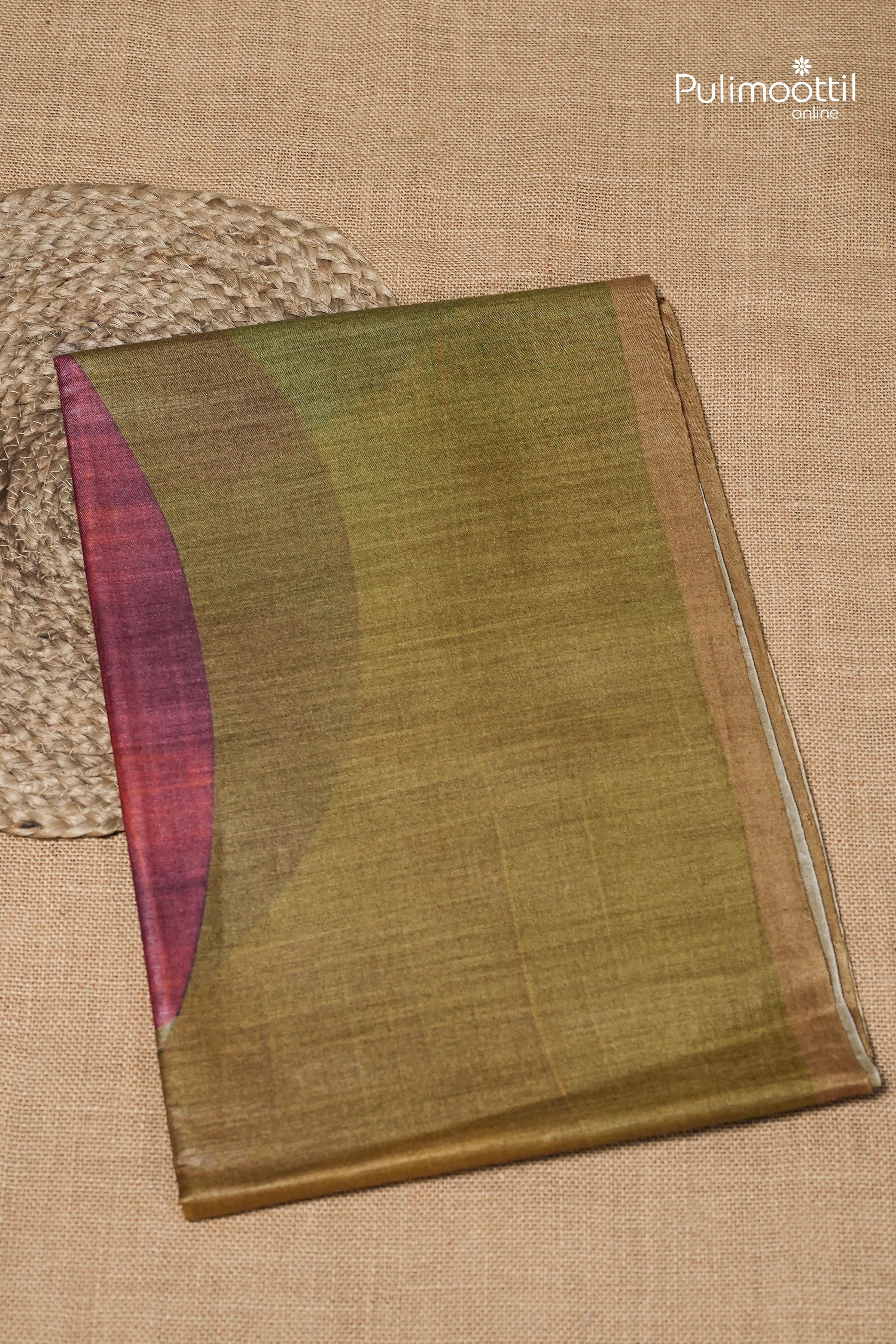 Multicolour Tussar Silk Saree