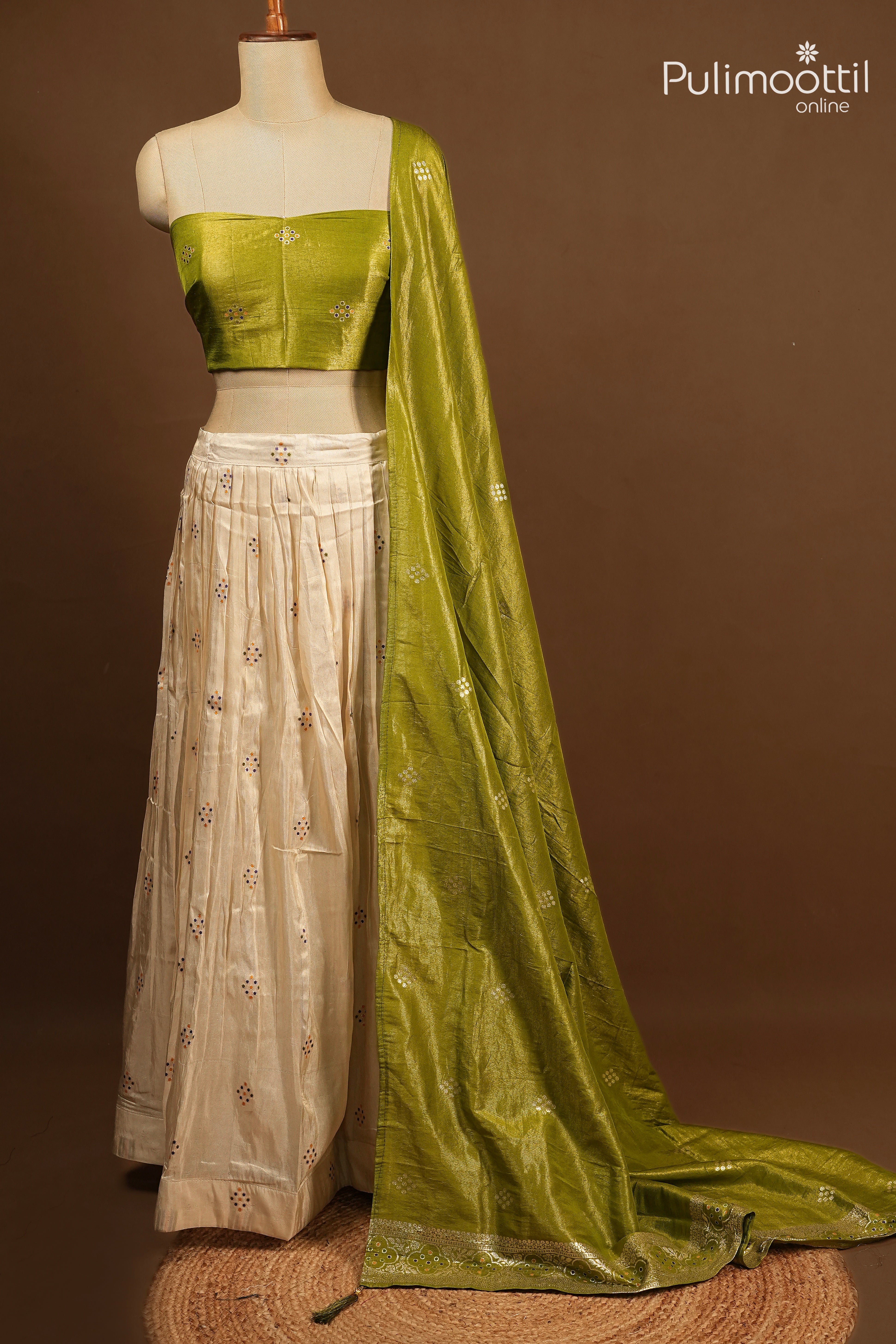 Ready-to-Stitch Golden Tissue Dhavani Set