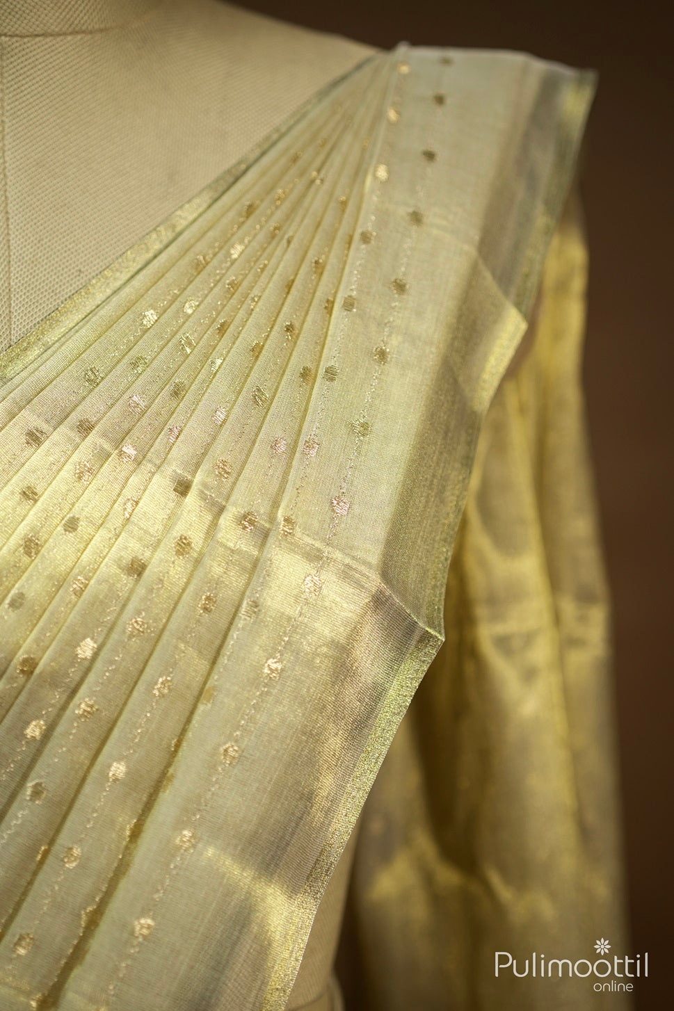 Golden Tissue Fancy Saree.