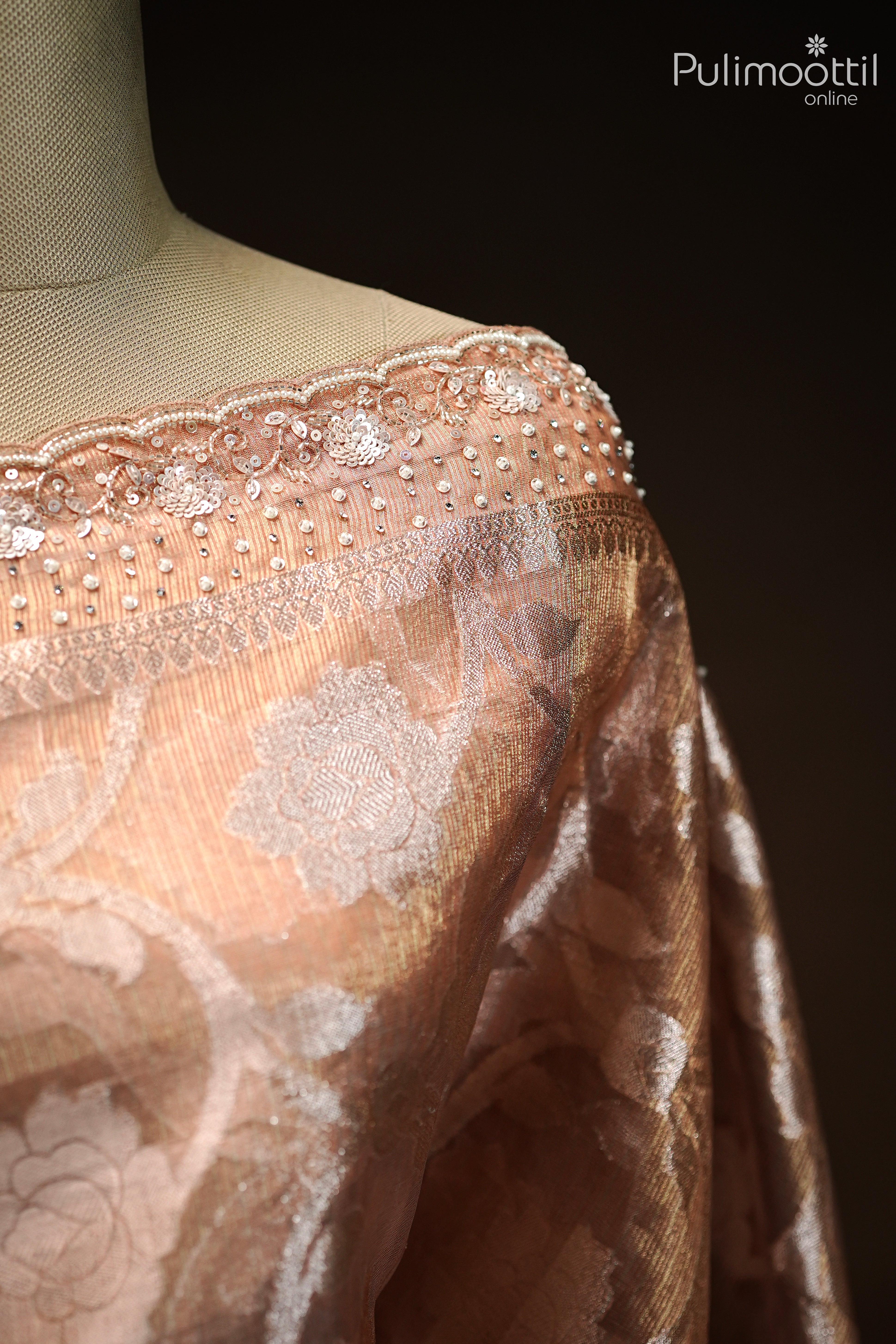 Chikku Shade Organza Fancy Saree.