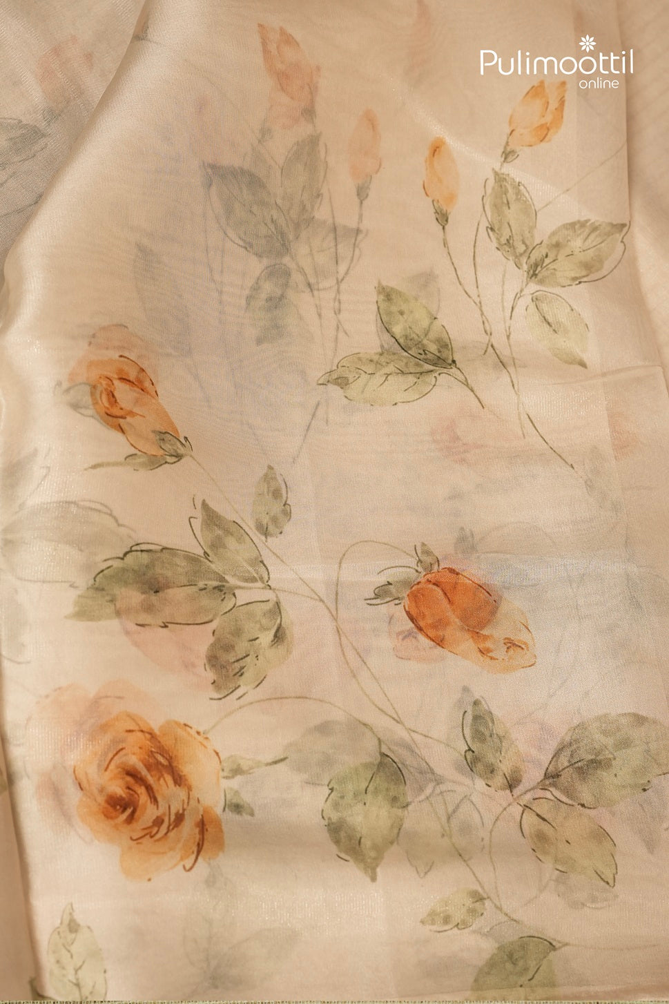 Offwhite Colour Organza Traditional Saree