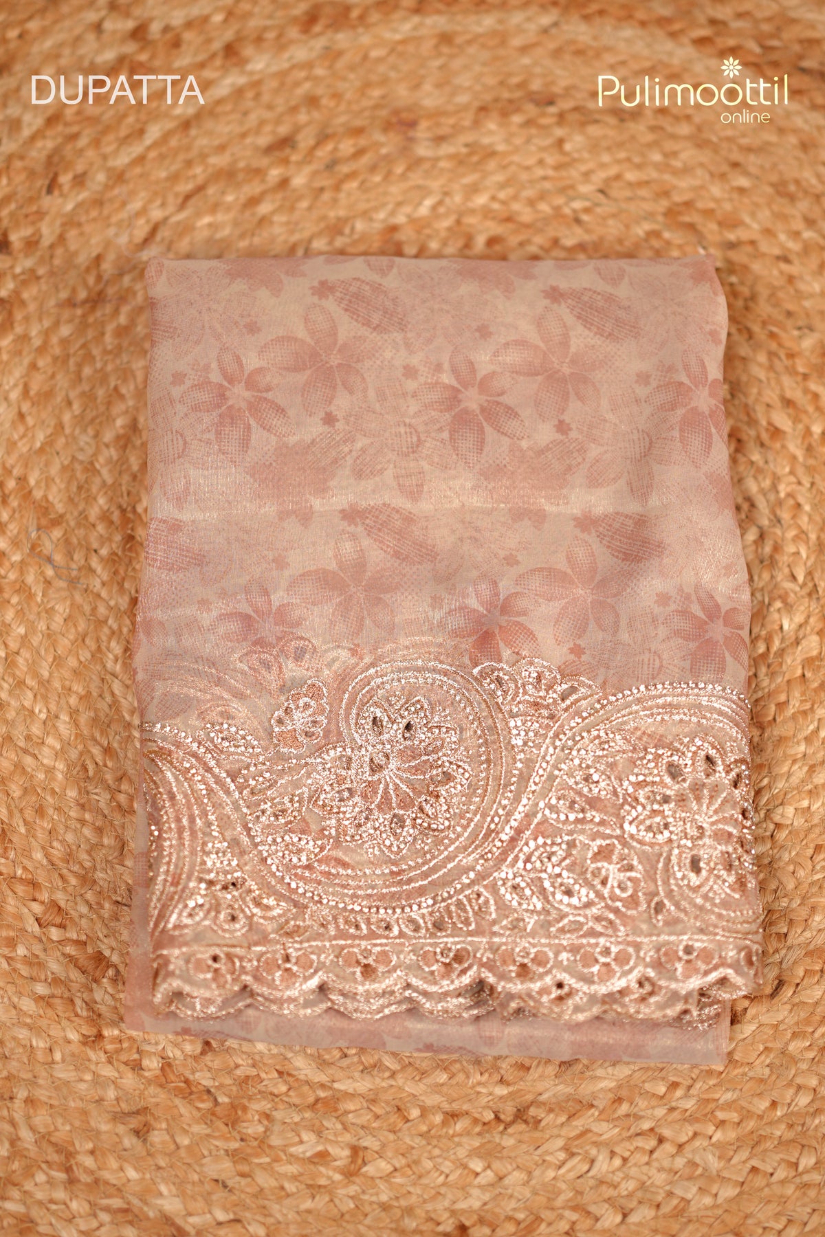 Light Chikoo Organza Unstitched Salwar Set