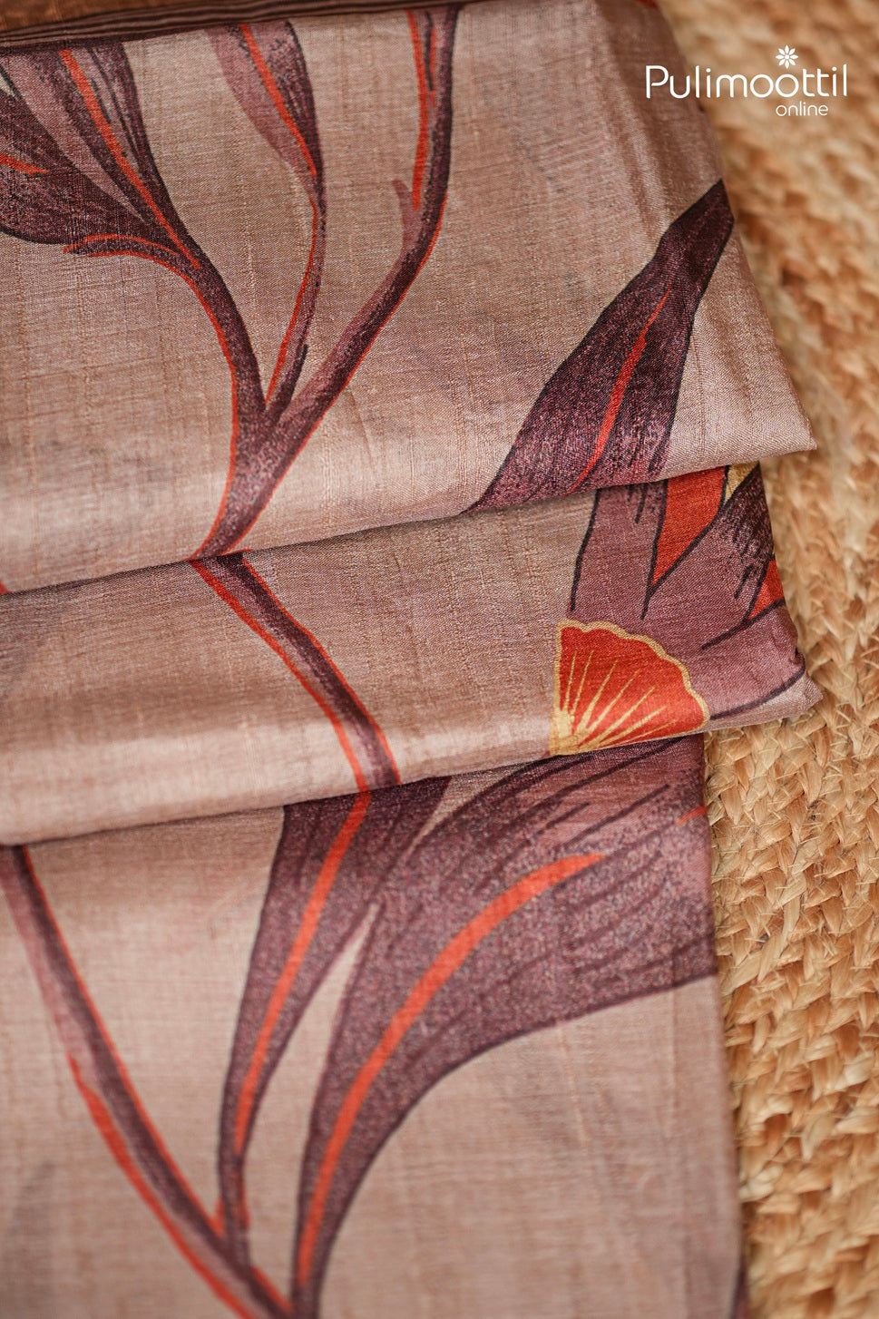 Dark Chikoo Colour Tussar And Jute Silk Saree