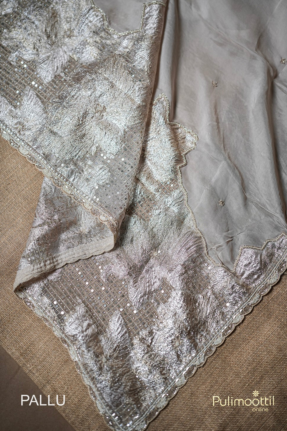 Light Chikoo Colour Organza Saree