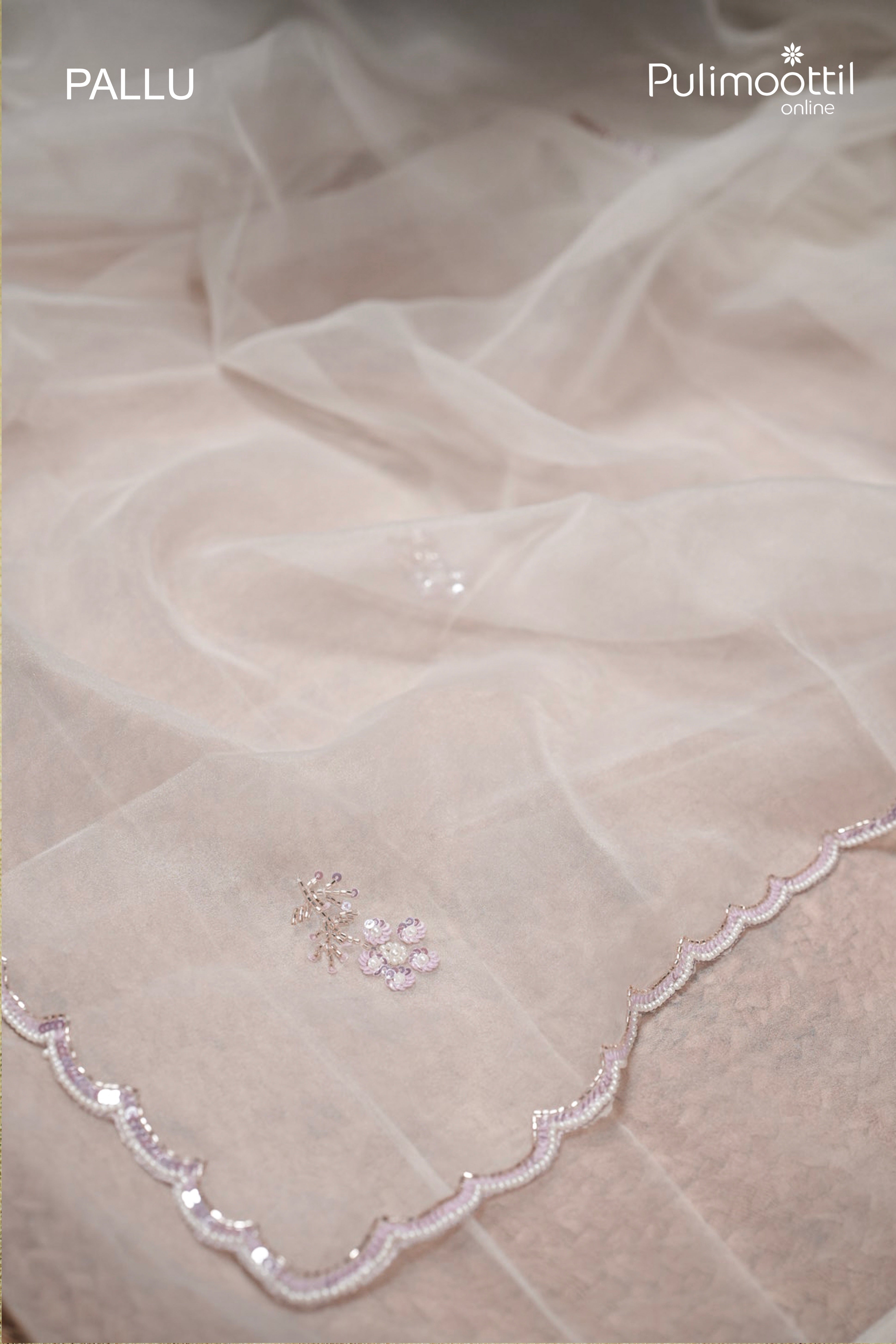 Offwhite Colour Organza Fancy Saree