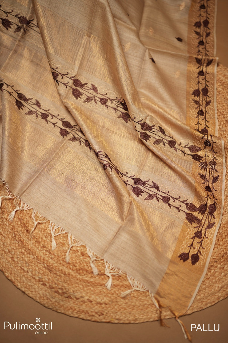 Light Chikoo Colour Tussar Silk Saree