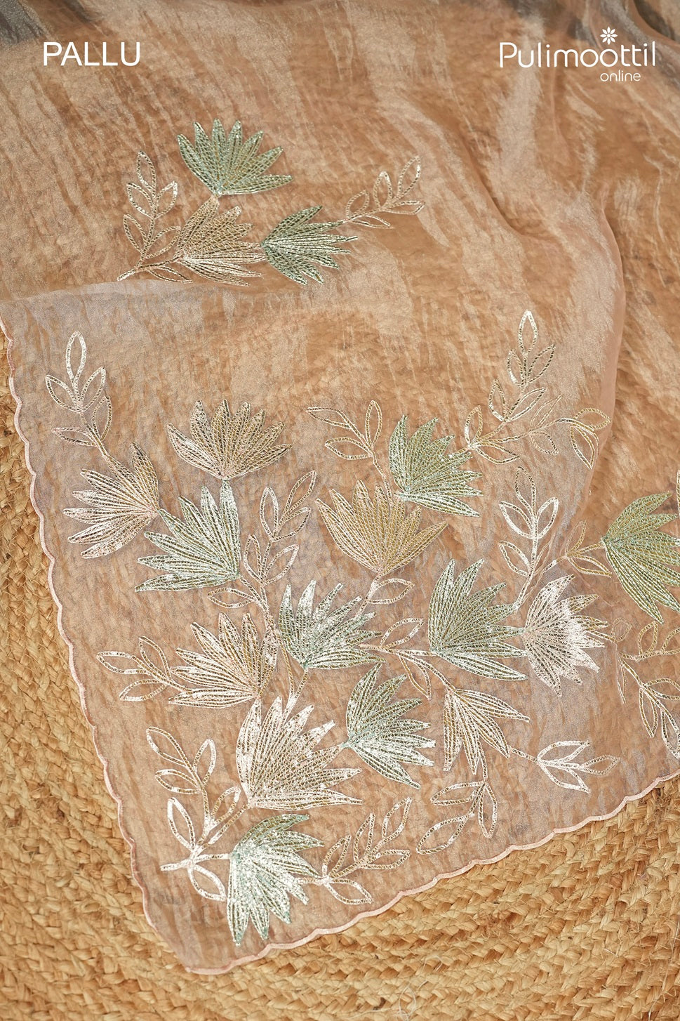Pastel Pink Colour Organza Fancy Saree