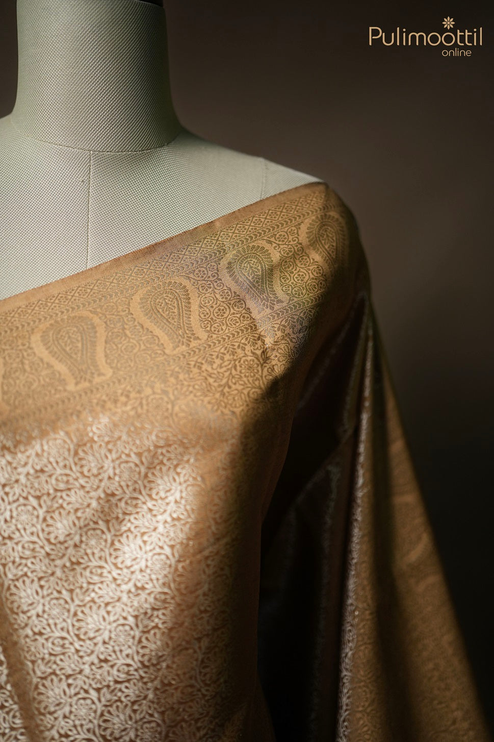 Light Golden Colour Chiniya Banarasi Saree