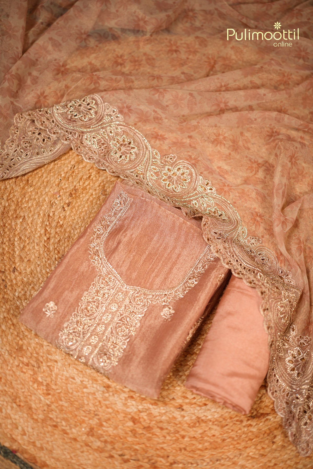 Light Chikoo Organza Unstitched Salwar Set