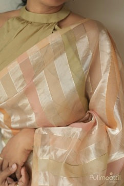 Pastel Shaded Organsa Saree.