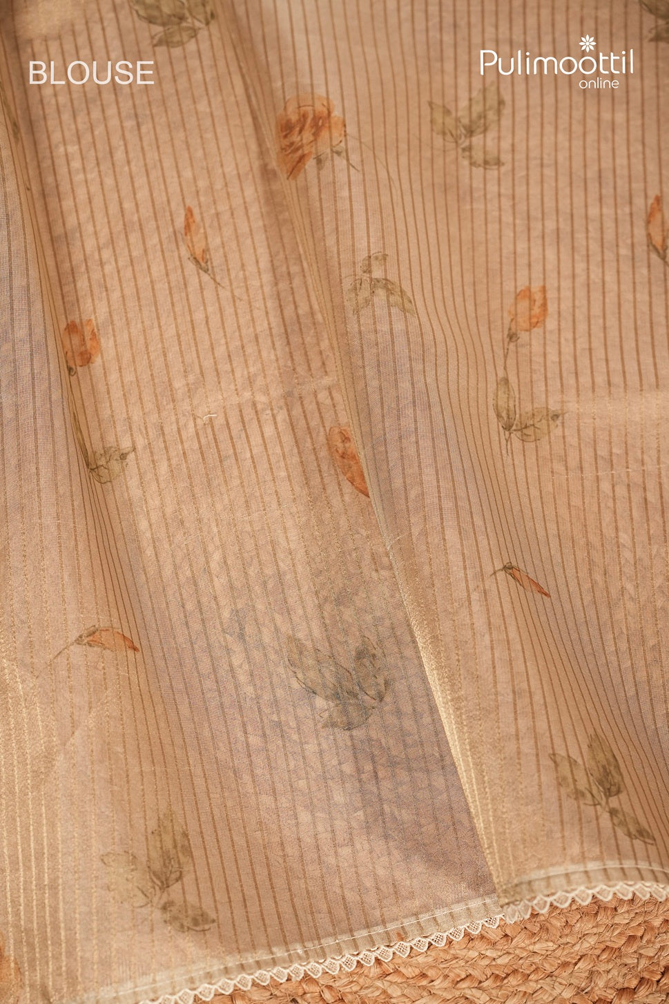 Offwhite Colour Organza Traditional Saree