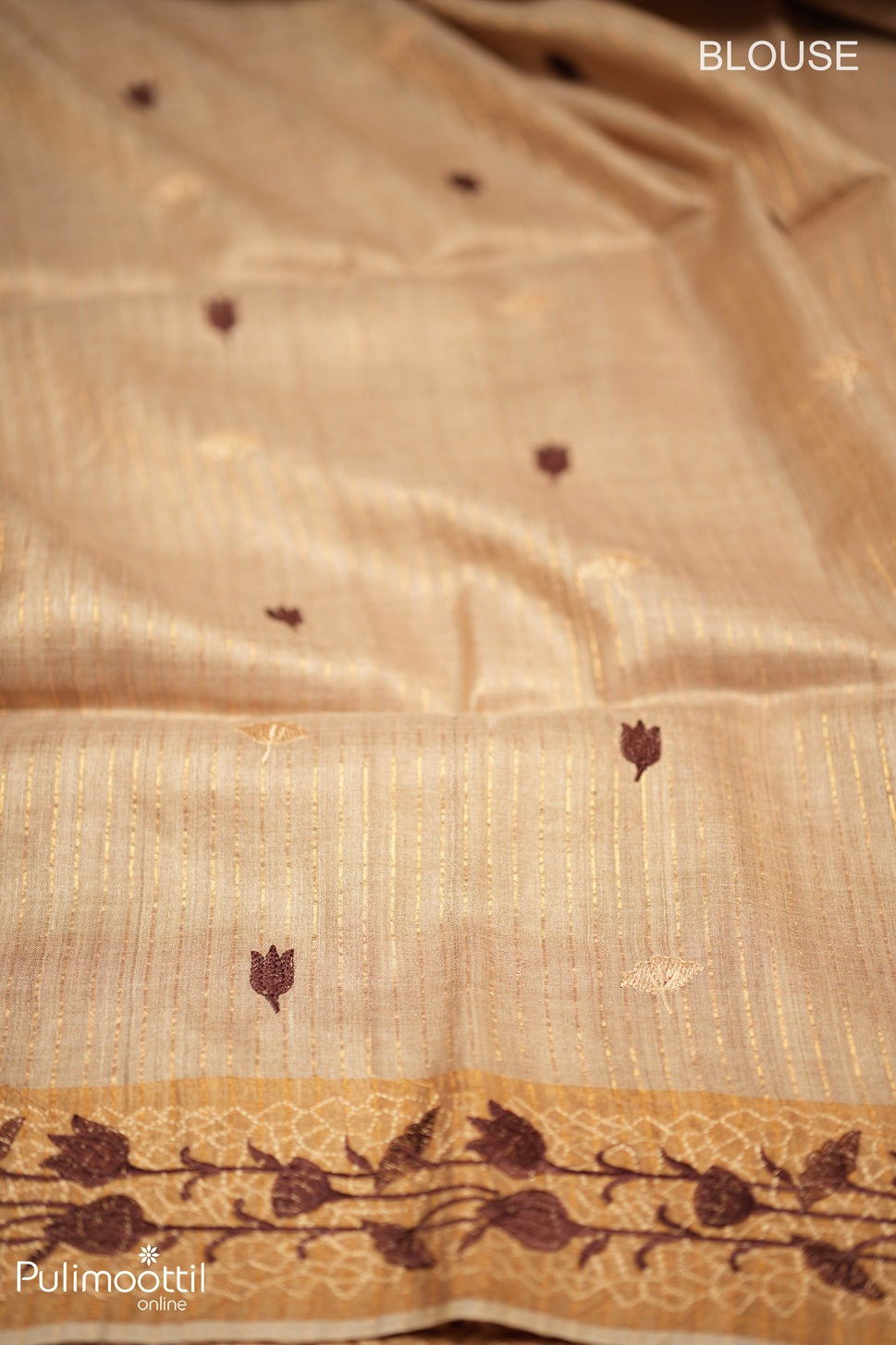 Light Chikoo Colour Tussar Silk Saree