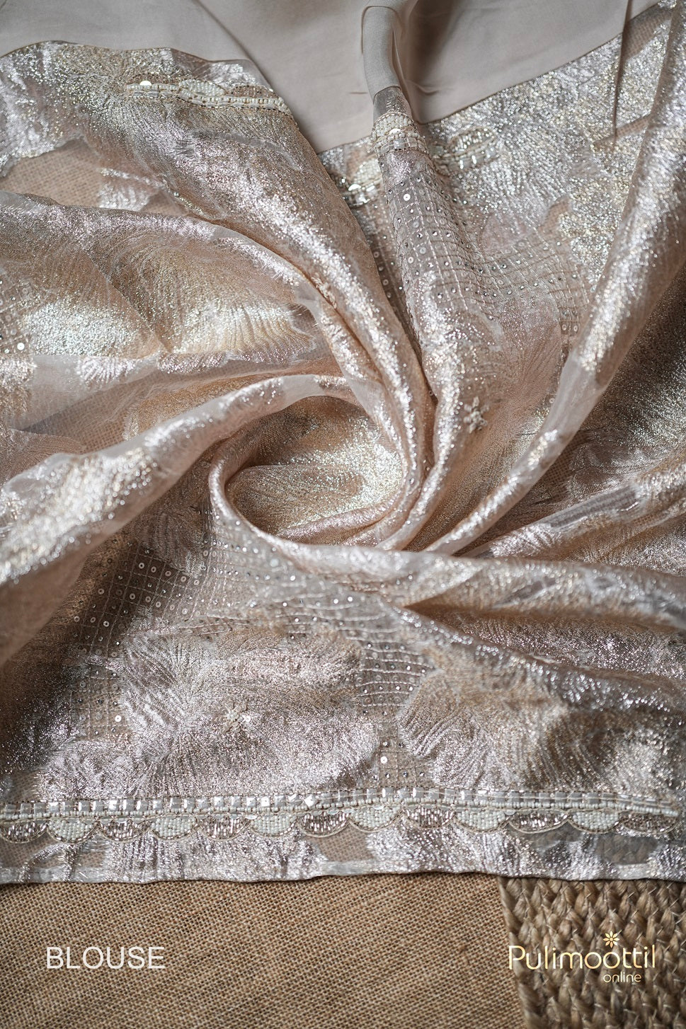 Light Chikoo Colour Organza Saree