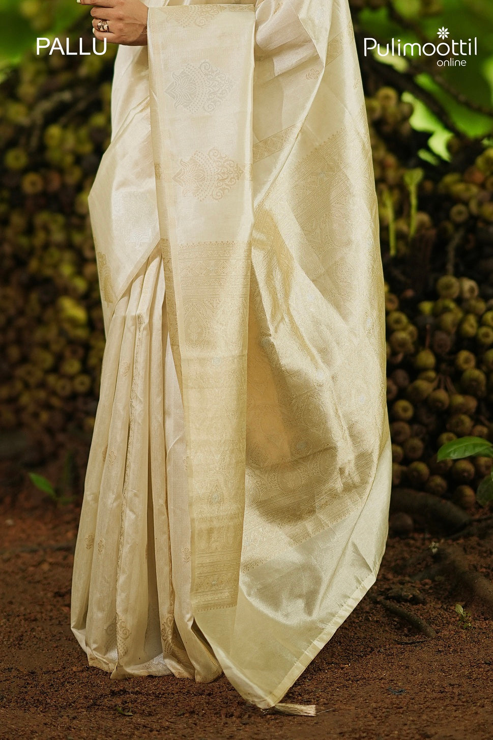 Ivory Colour Oraganza Fancy Saree