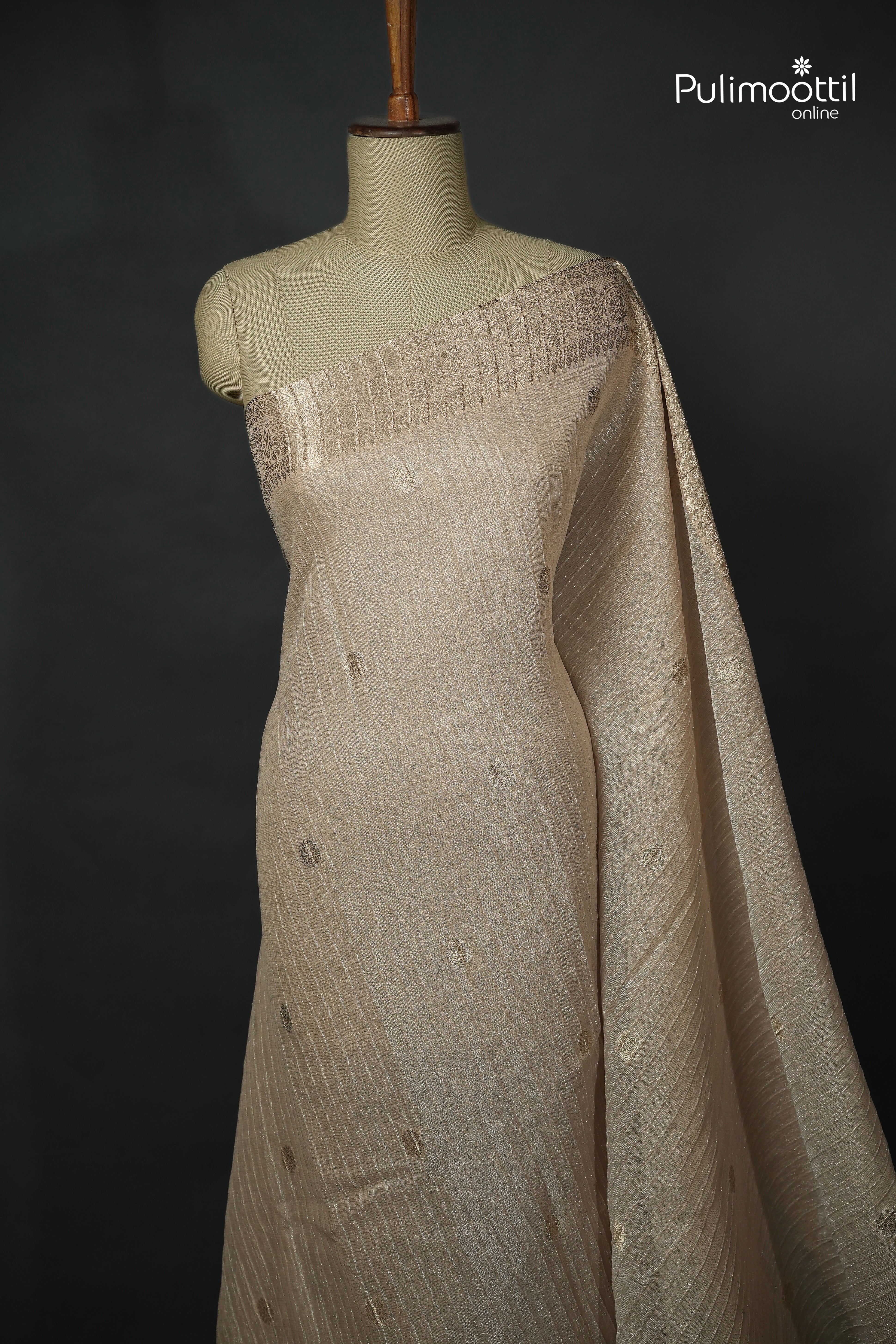 Chikoo Colour Semi Tissue Saree