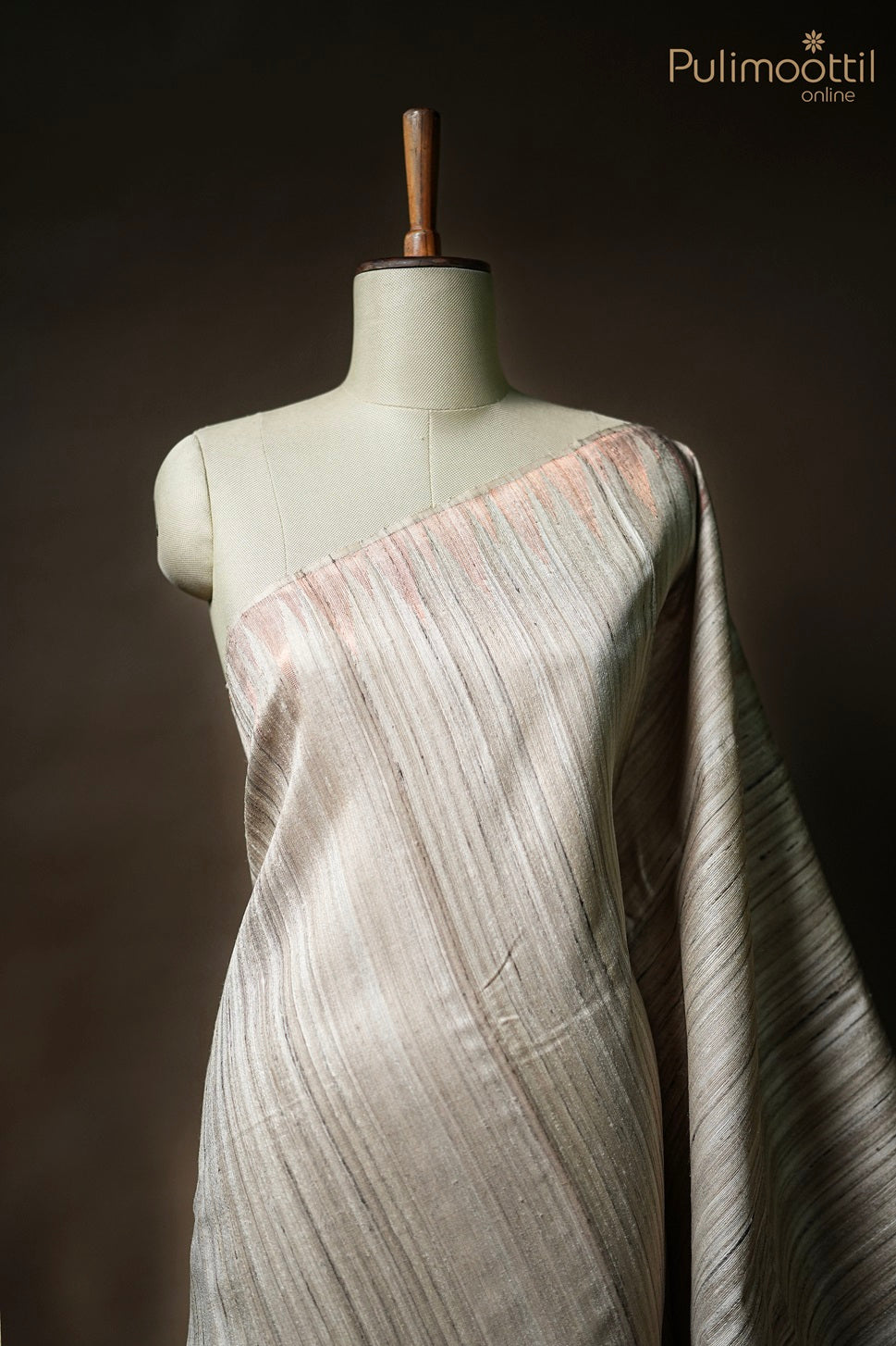 Light Chikoo Colour Jute Silk Saree.