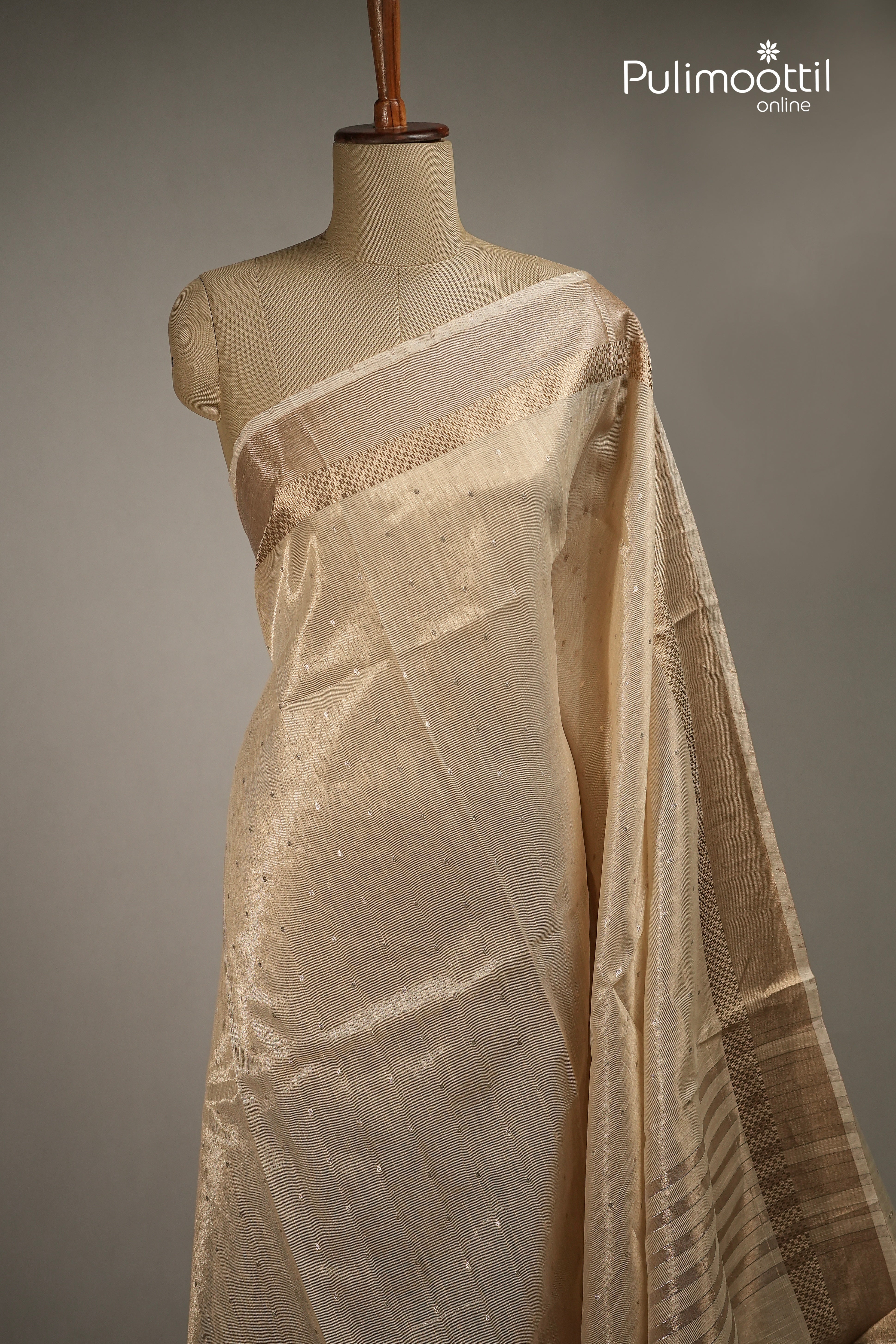 Golden Tissue Organza Traditional Saree