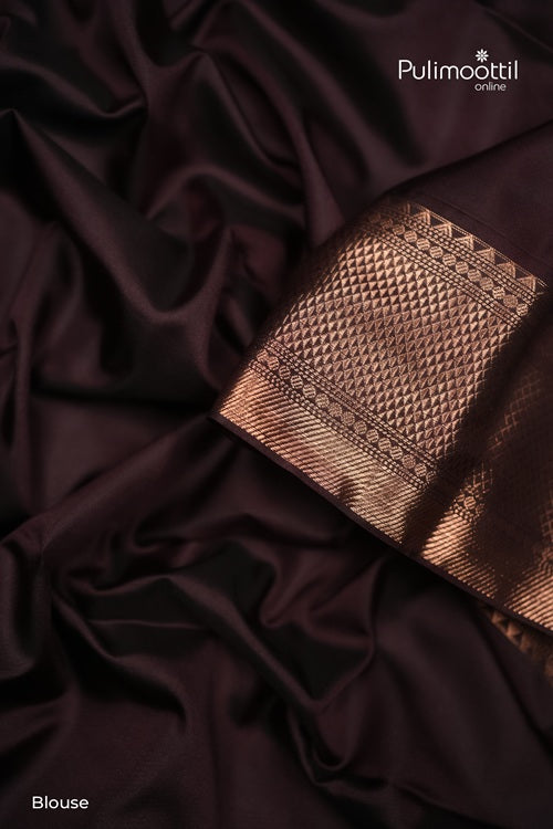 Lavender Semi Silk Saree With Contrast Coffee Brown Border.