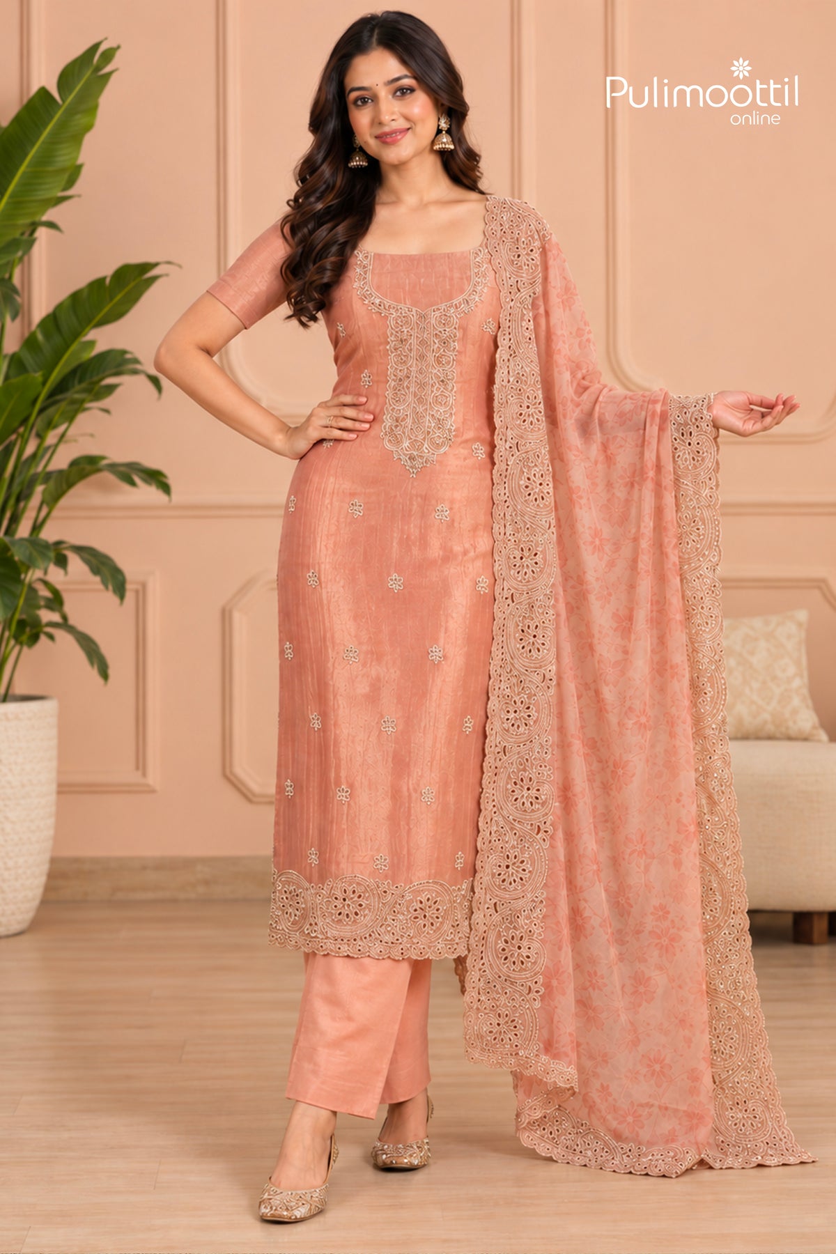 Light Chikoo Organza Unstitched Salwar Set