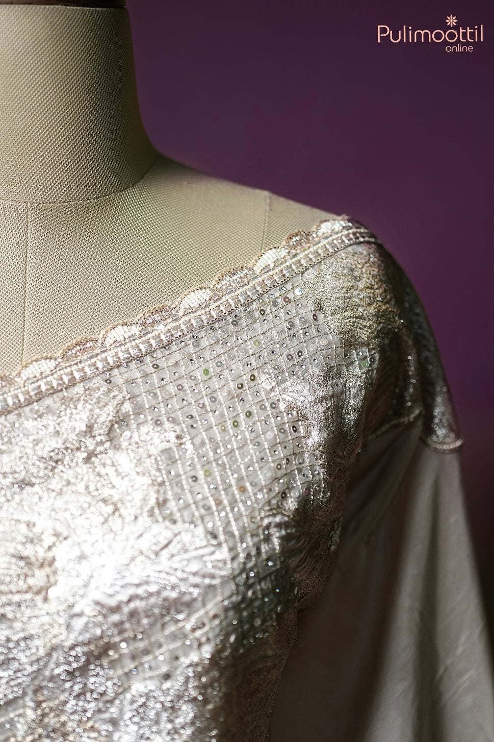 Light Chikoo Colour Organza Saree