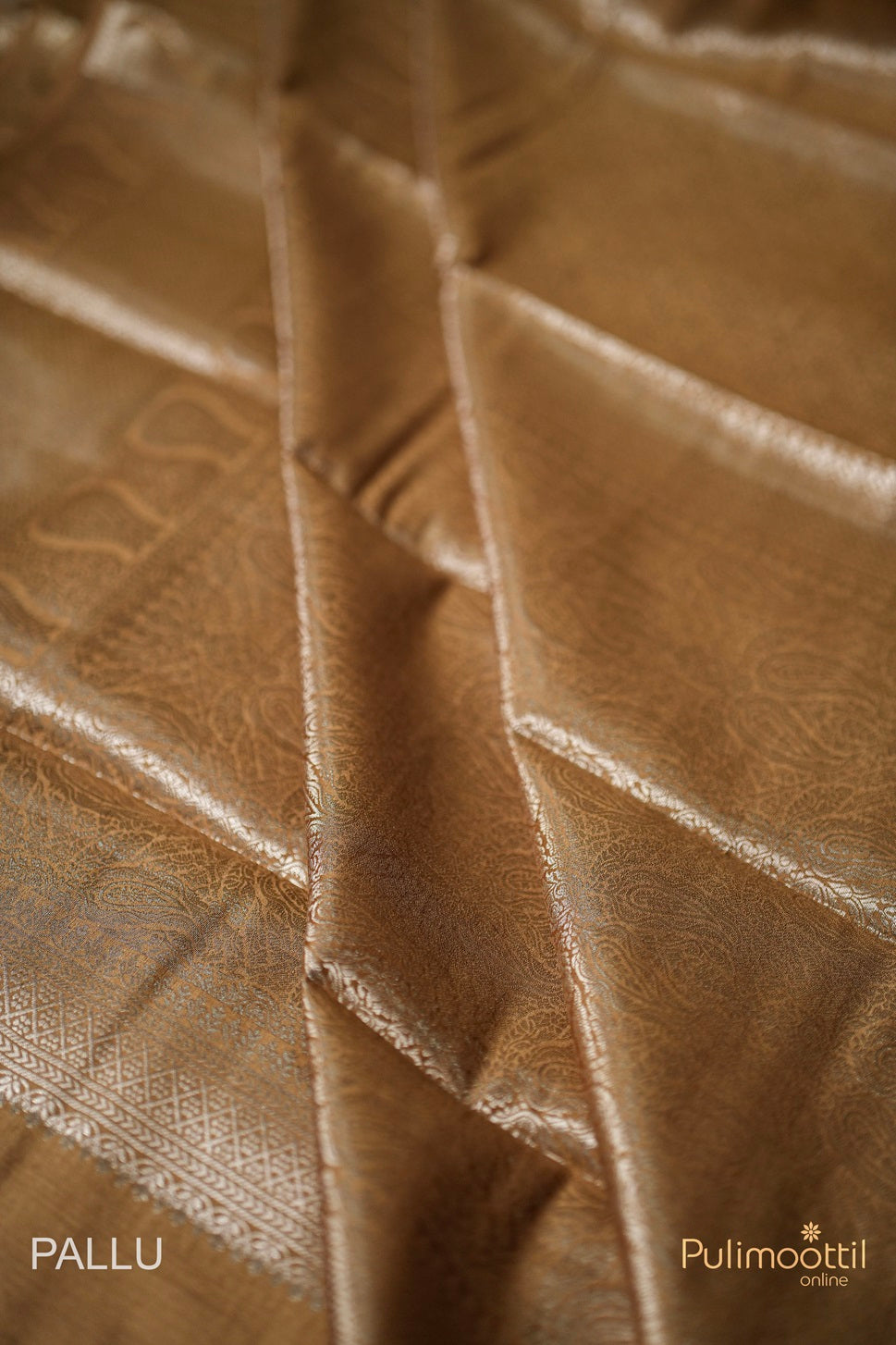 Light Golden Colour Chiniya Banarasi Saree