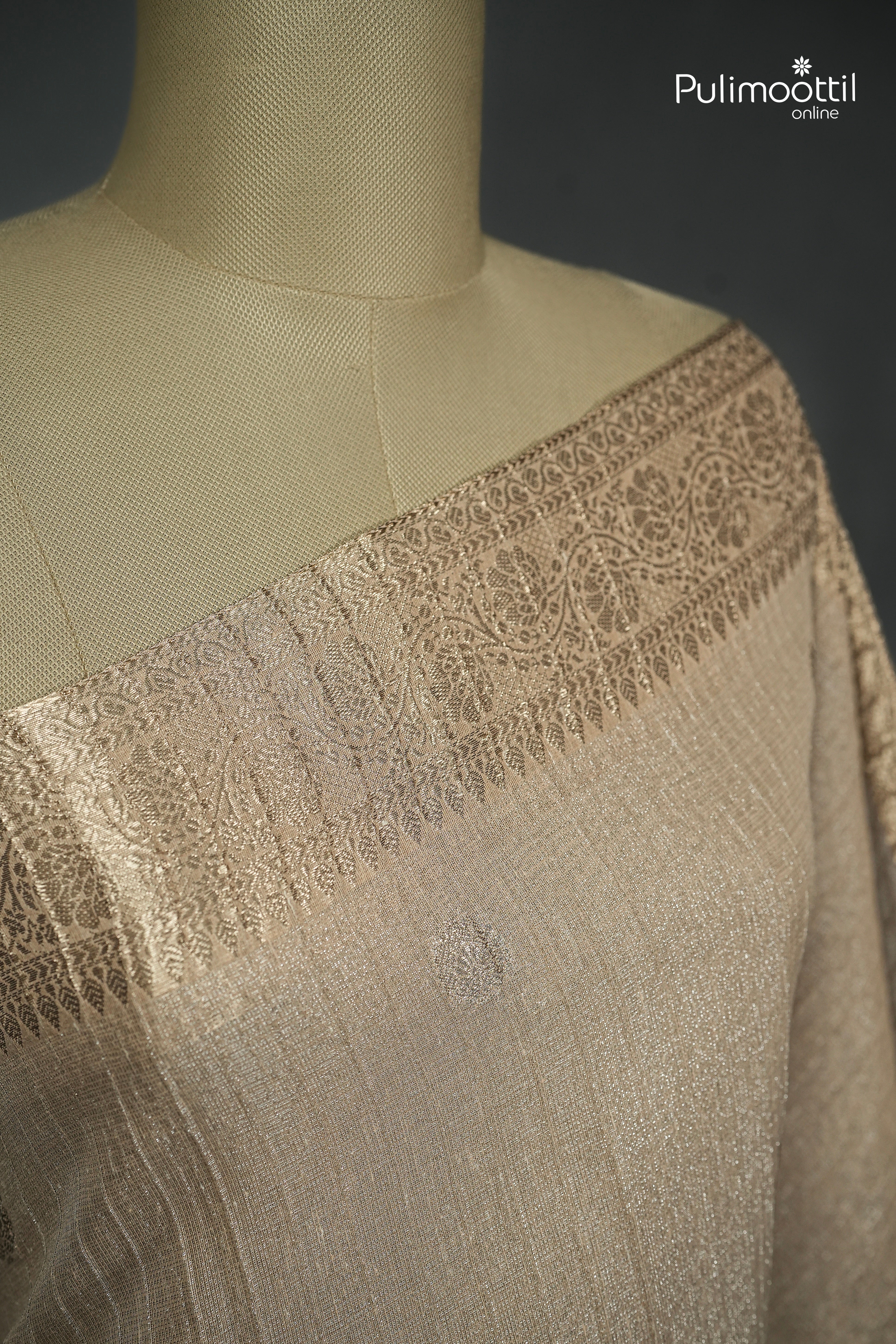 Chikoo Colour Semi Tissue Saree