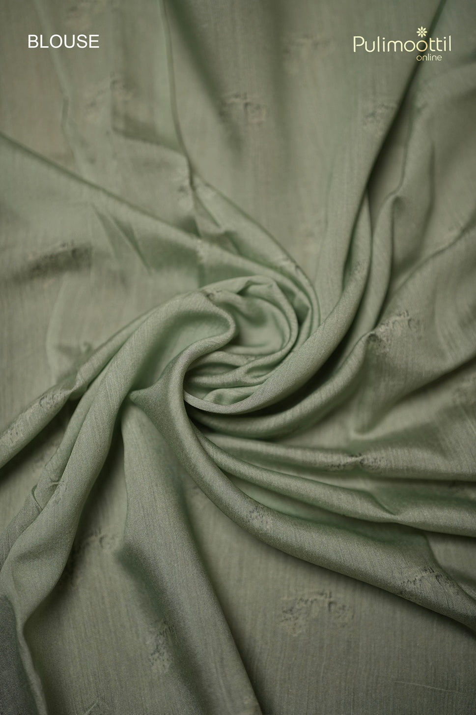 Mint Green Colour Organza Fancy Saree