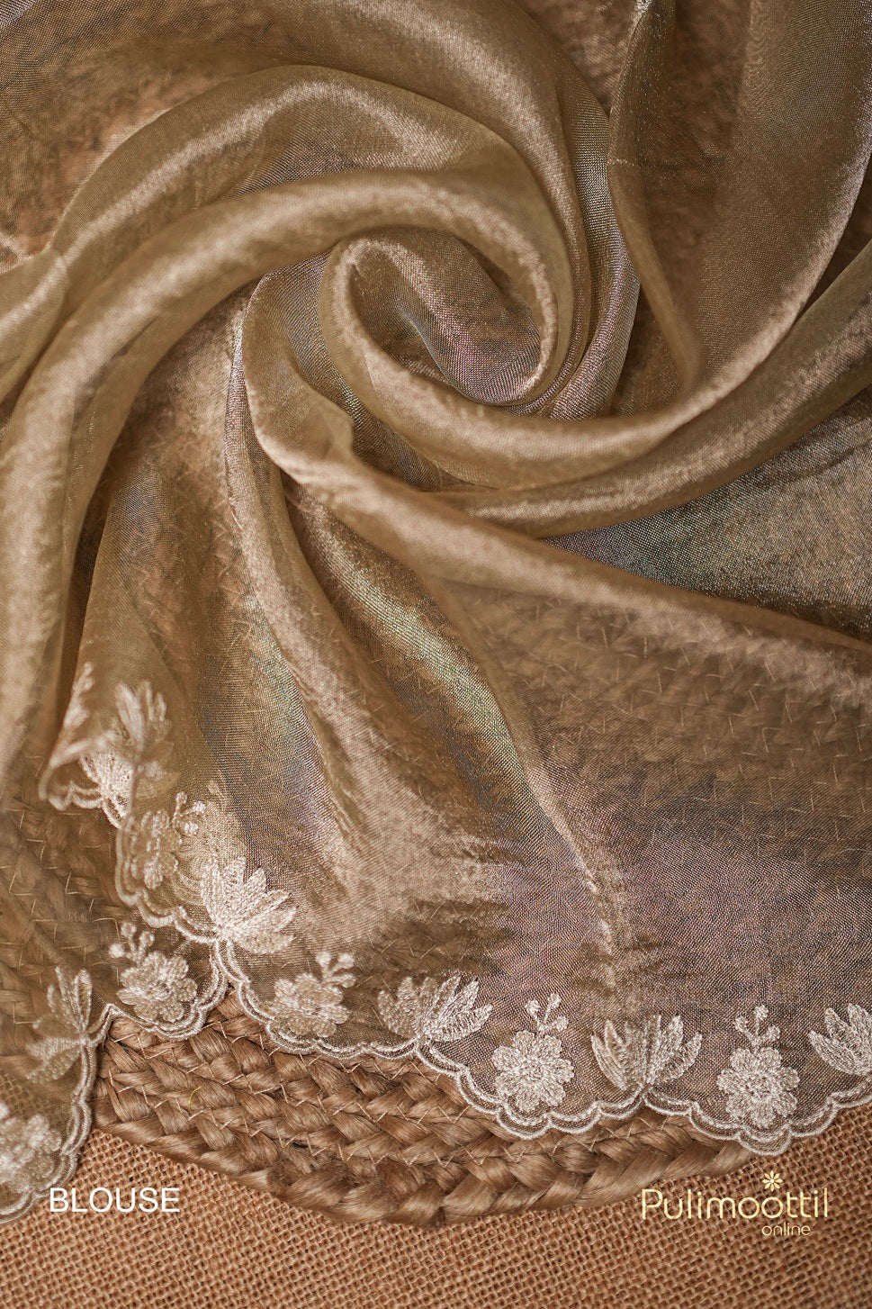 Pastel Olive Green Colour Golden Tissue Organza Saree