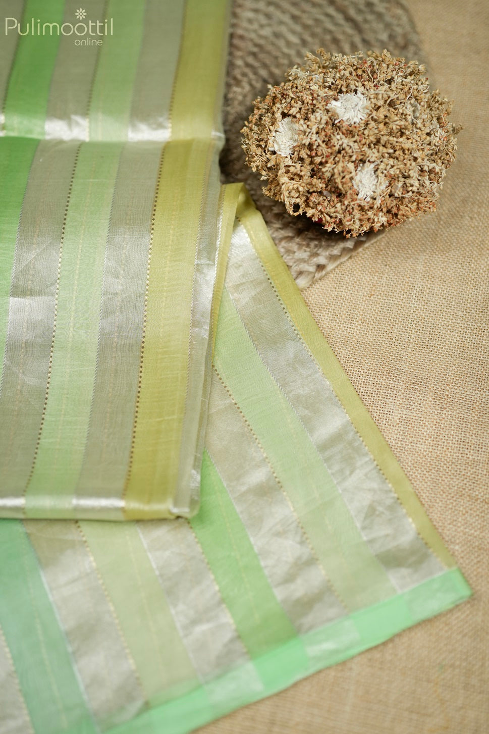 Multishaded Organza Fancy Saree