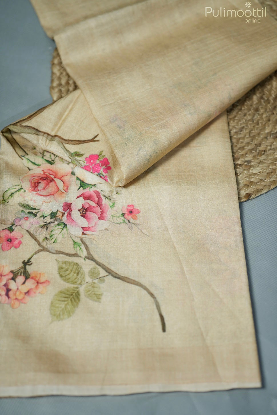 Light chickoo-colored printed Tussar silk saree