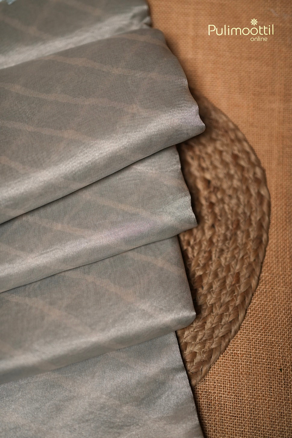 Powder Blue Colour Silver Tissue Organza Fancy Saree