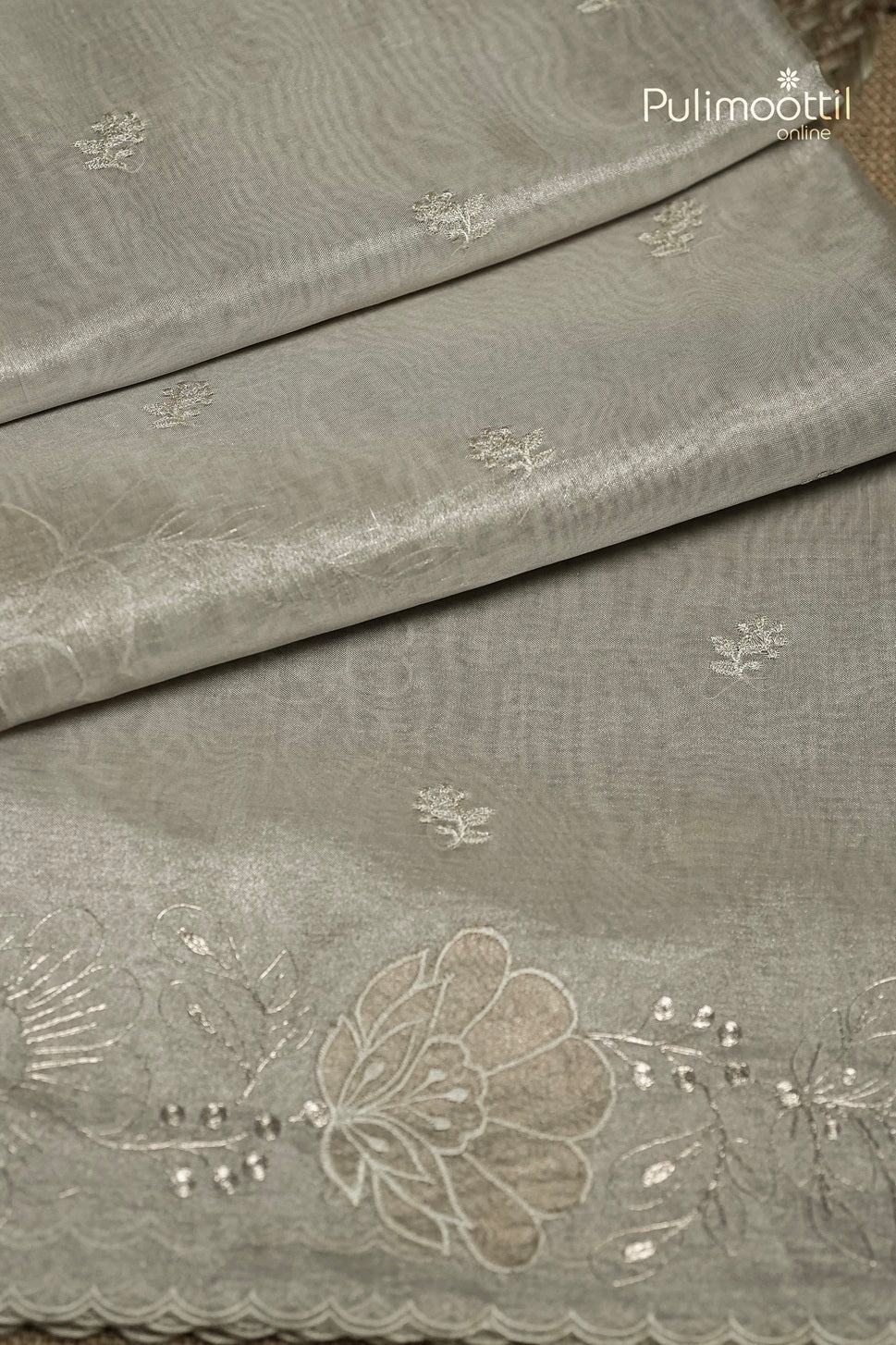 Light Chikoo Colour Rose Gold Tissue Appliqué Work Organza Saree
