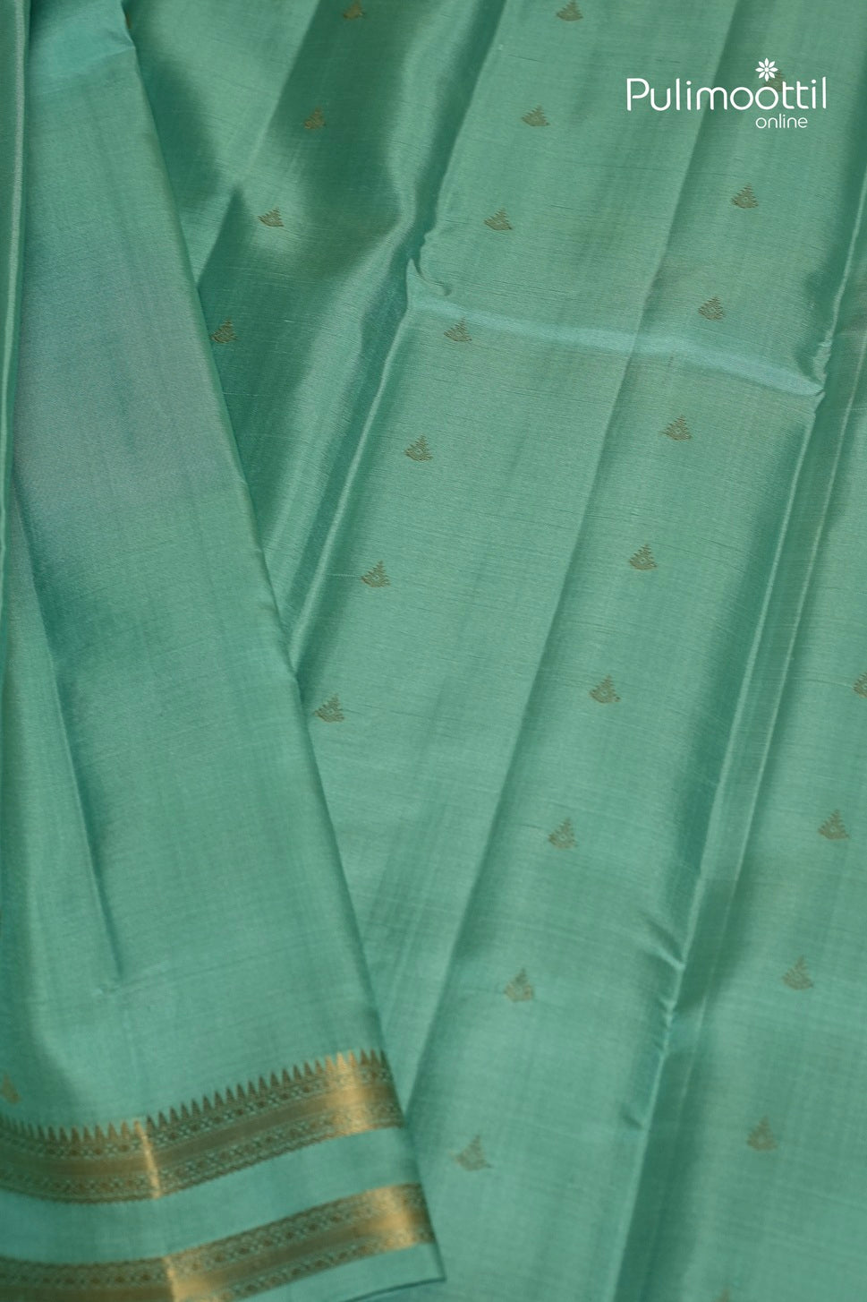 Turquoise Blue Colour Kanchipuram Soft Silk Saree