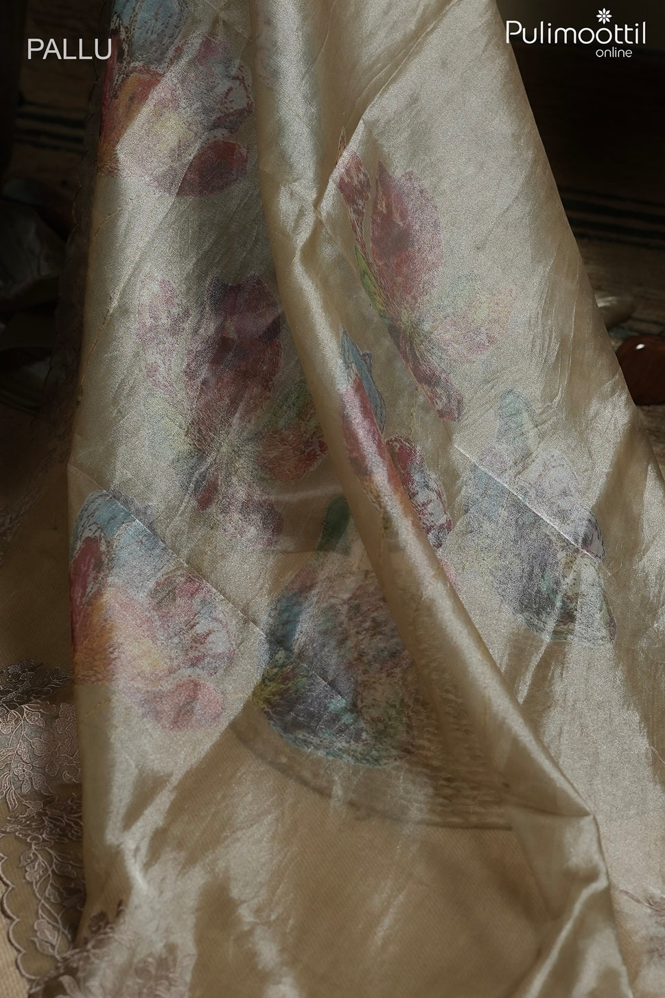 Chikoo color tissue organza fancy saree