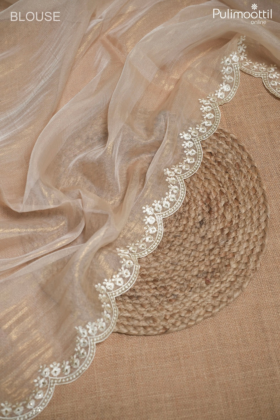 Light chikoo color golden tissue organza fancy saree