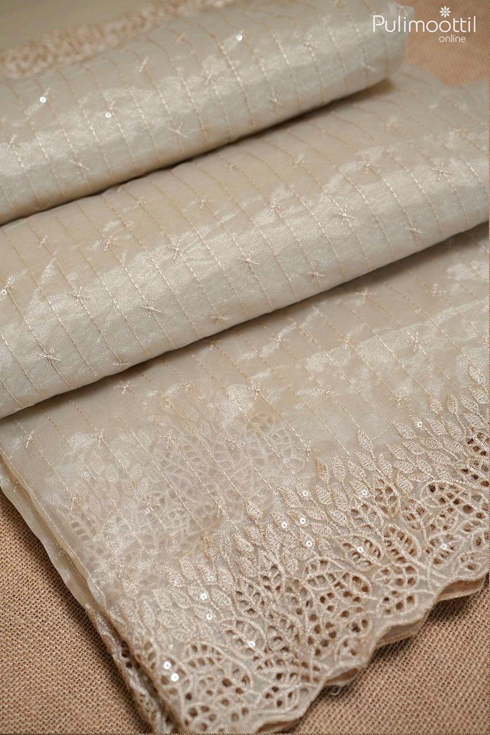 Ivory color tissue organza fancy saree