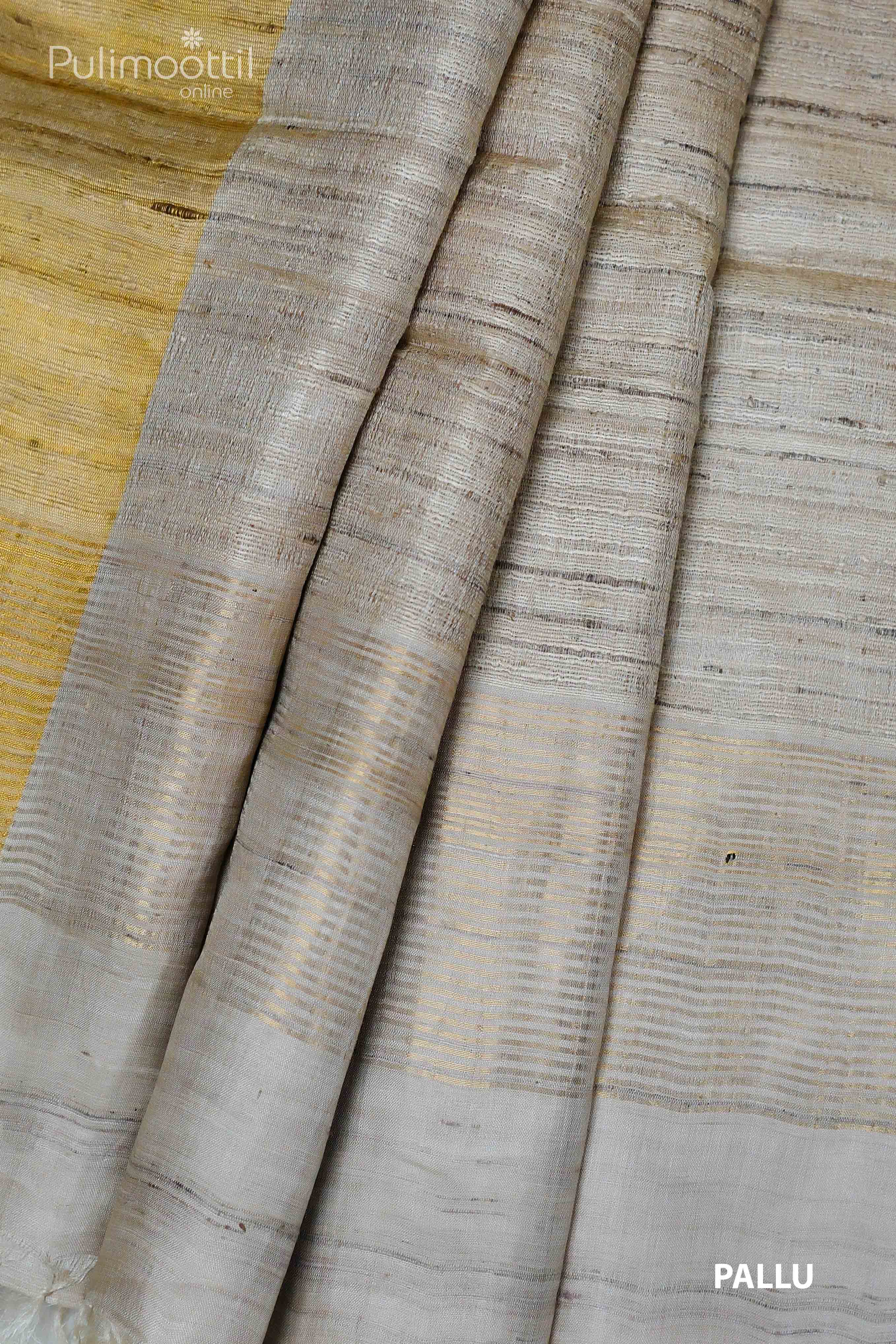 Close-up of the pallu of beige pure tussar silk saree with a golden tissue border and striped texture.