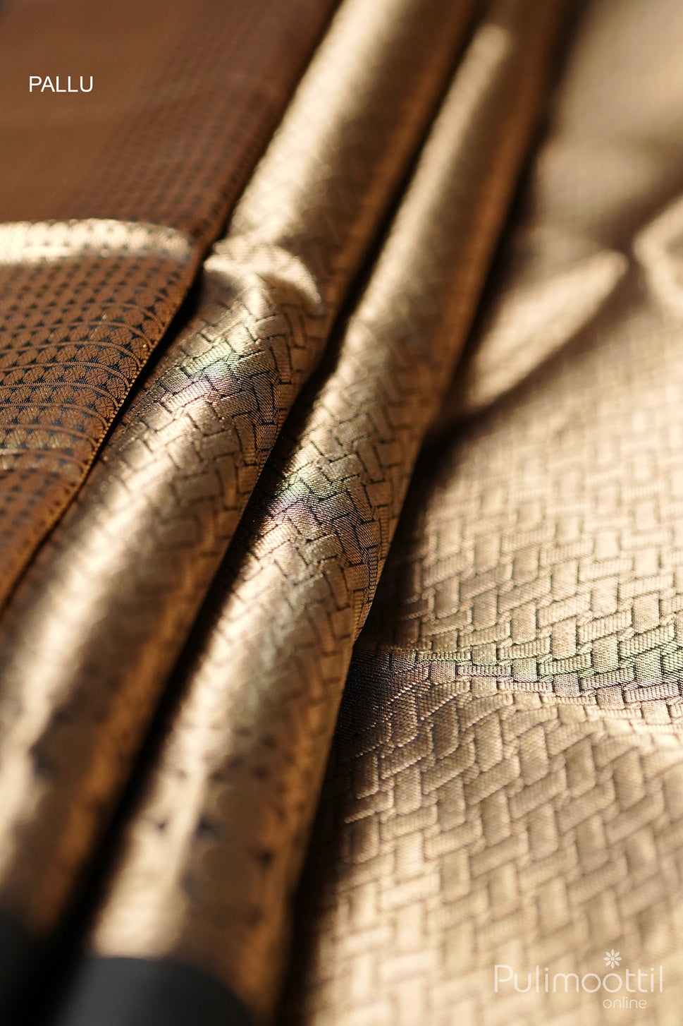 Close-up of golden zari woven pallu on black Kanchipuram soft silk saree with intricate patterns