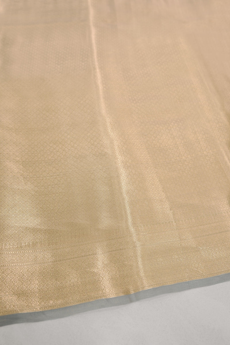 Pastel Color Tissue Organza Saree