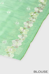 Pastel green color soft Organza saree.