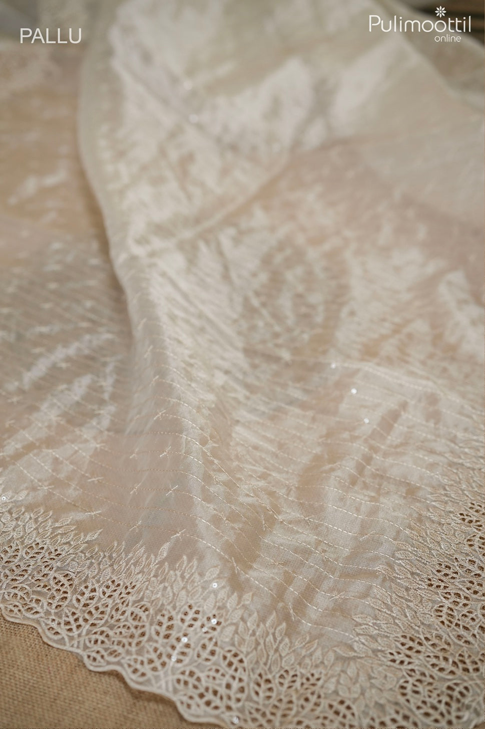 Ivory color tissue organza fancy saree