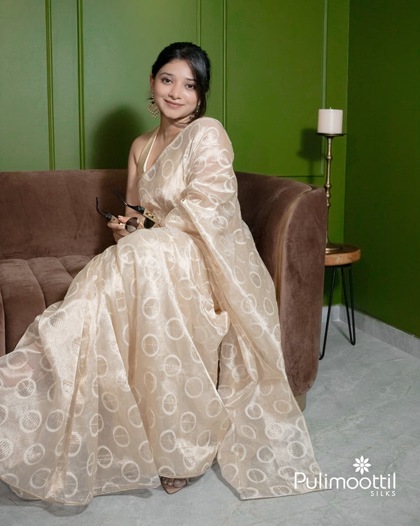 Pastel color tissue Organza saree