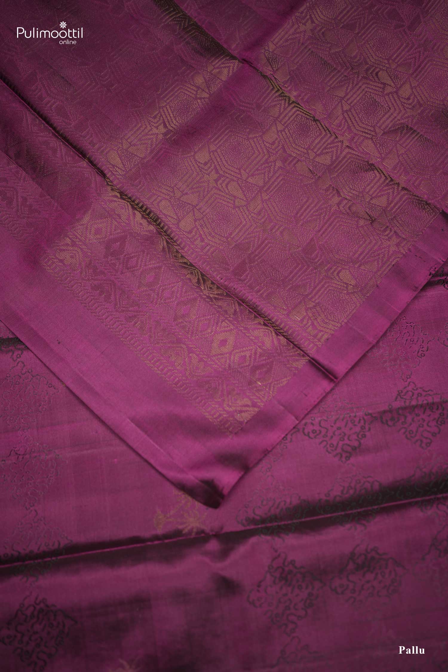 Grape Wine Color Borderless Kanchipuram Soft Silk Saree