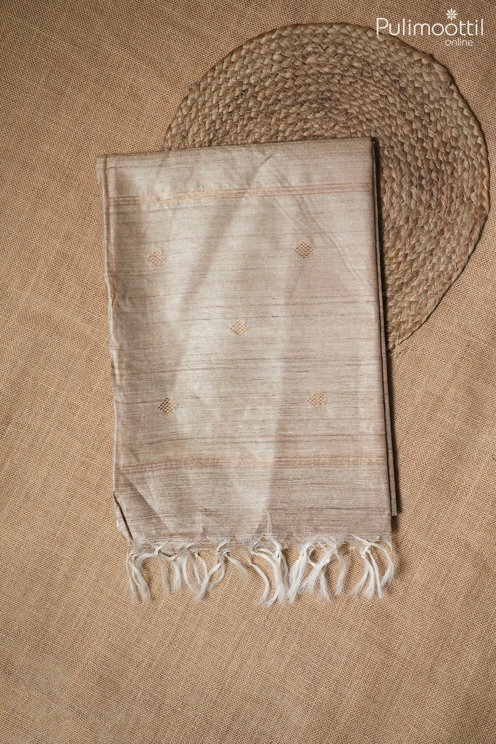 Chikku color Tussar silk saree