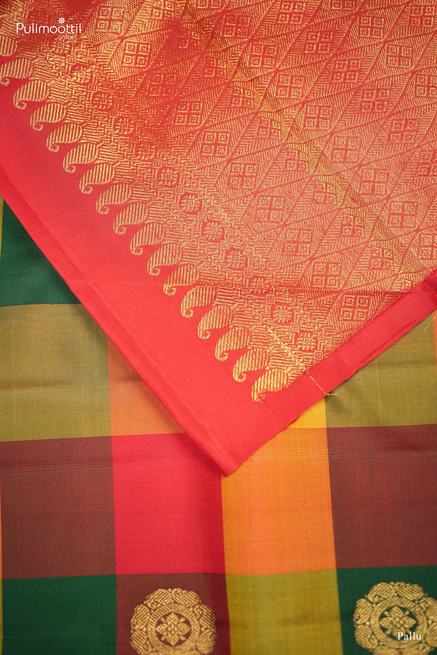 Classic Borderless Palum Paazhamum Kanchipuram Silk Saree